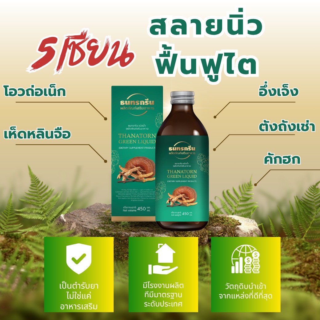 5เชี่ยนสลายนิ่วฟื้นฟูไต