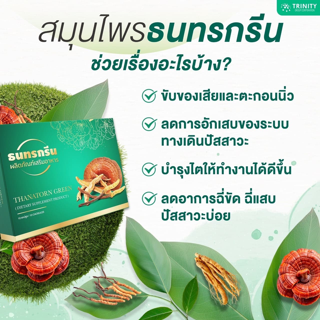 สมุนไพรธนทรกรีน ช่วยเรื่องอะไรบ้าง