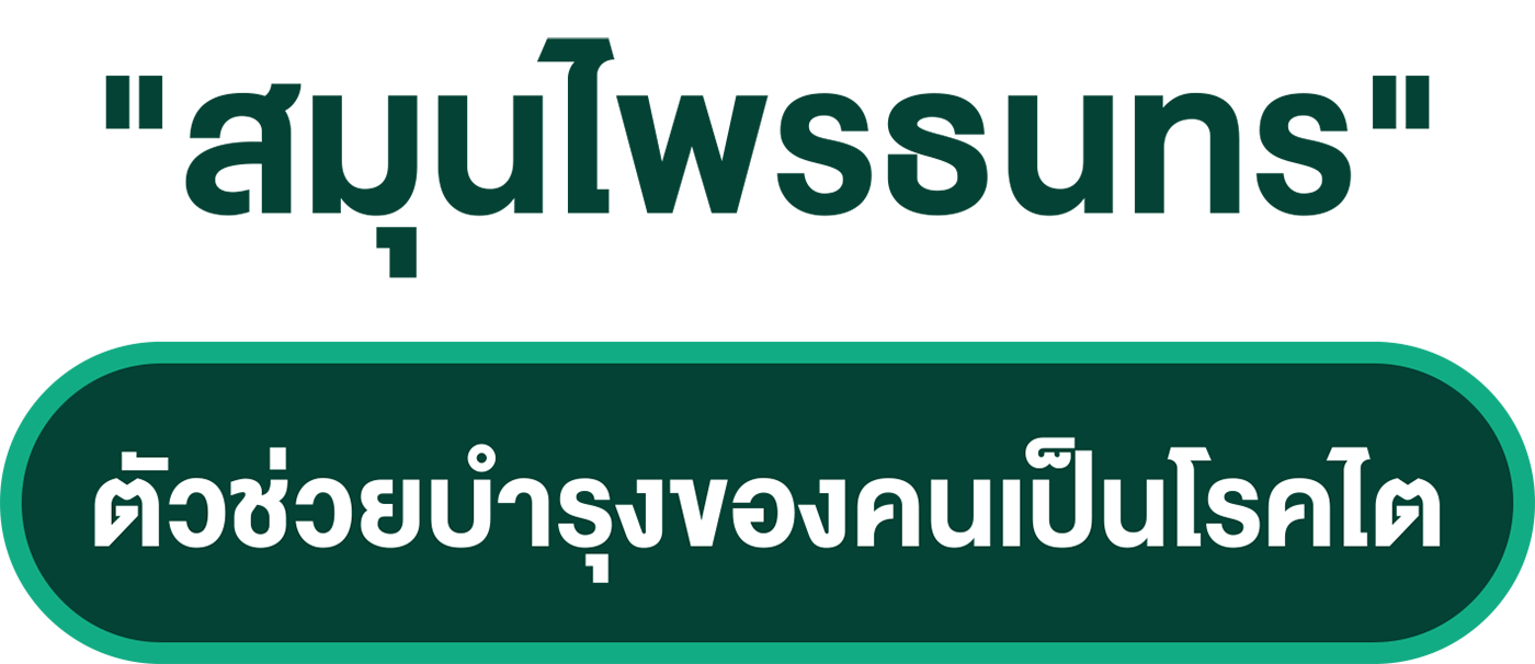 สมุนไพรธนทร ตัวช่วยบำรุงของคนเป็นโรคไต