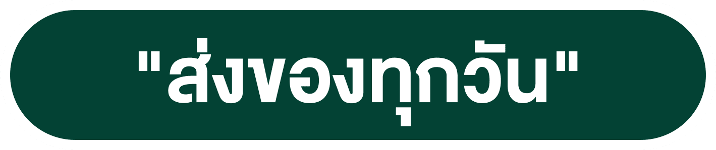 ส่งของทุกวัน