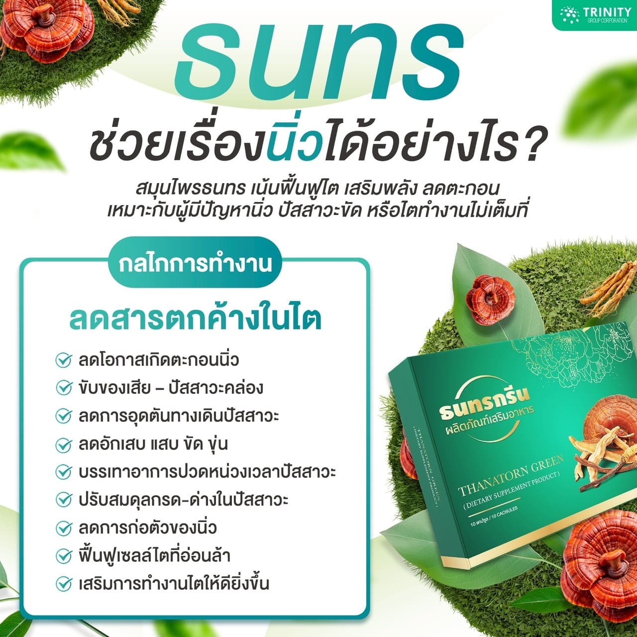 ธนทรช่วยเรื่องนิ่วได้อย่างไร